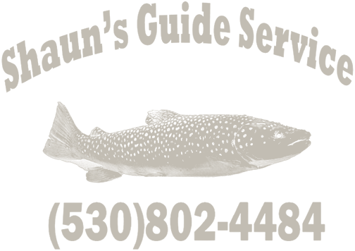 Shaun's Guide Service